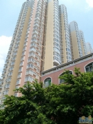 Xiao City Building
